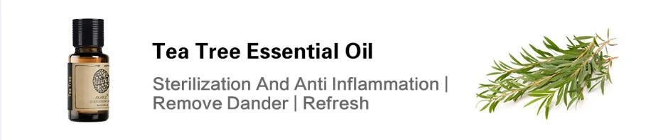 AKARZ Hots 24 Set Tea Tree,Lavender,Sandalwood,Rose,Patchouli,Musk,Ylang,Rosemary,Neroli,Peony,Vanilla,Neroli Lily Essential Oil